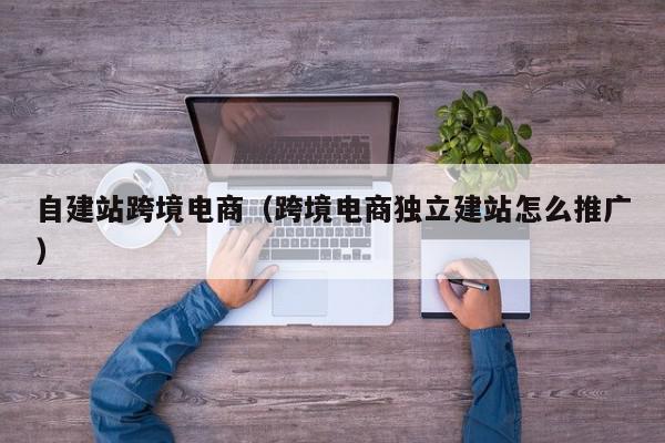 自建站跨境電商(跨境電商獨立建站怎么推廣)