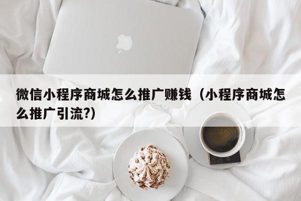 微信小程序商城怎么推廣賺錢(小程序商城怎么推廣引流?)