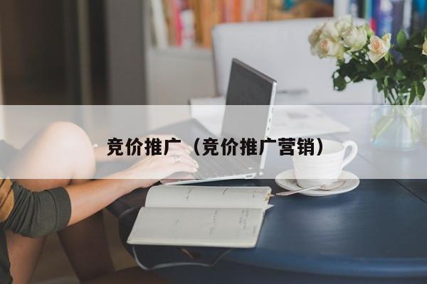 競價推廣(競價推廣營銷)