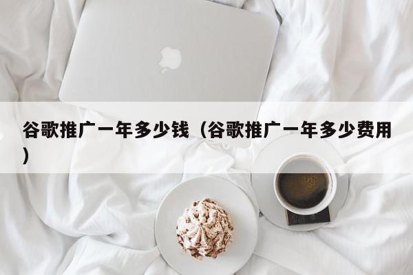 谷歌推廣一年多少錢(谷歌推廣一年多少費用)
