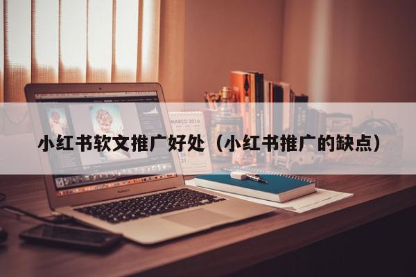 小紅書軟文推廣好處(小紅書推廣的缺點)