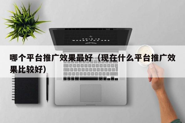 哪個平臺推廣效果最好(現(xiàn)在什么平臺推廣效果比較好)