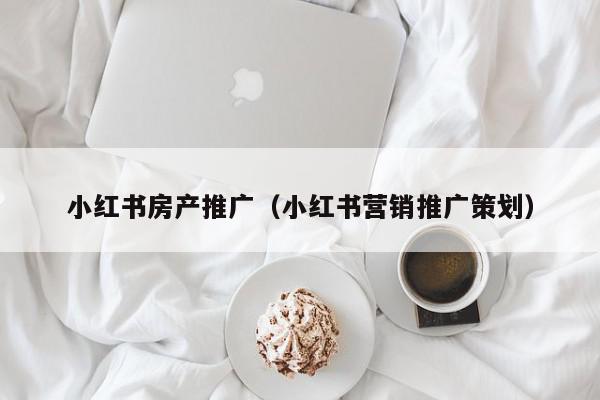 小紅書房產推廣(小紅書營銷推廣策劃)