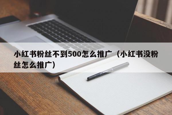 小紅書粉絲不到500怎么推廣(小紅書沒粉絲怎么推廣)