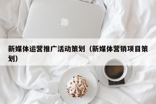 新媒體運(yùn)營(yíng)推廣活動(dòng)策劃(新媒體營(yíng)銷(xiāo)項(xiàng)目策劃)