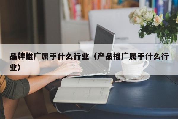 品牌推廣屬于什么行業(產品推廣屬于什么行業)